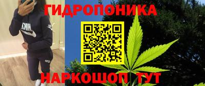 гидра Кандалакша