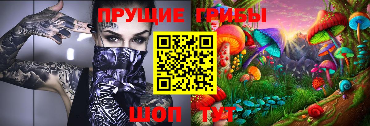 Галлюциногенные грибы Cubensis Егорьевск