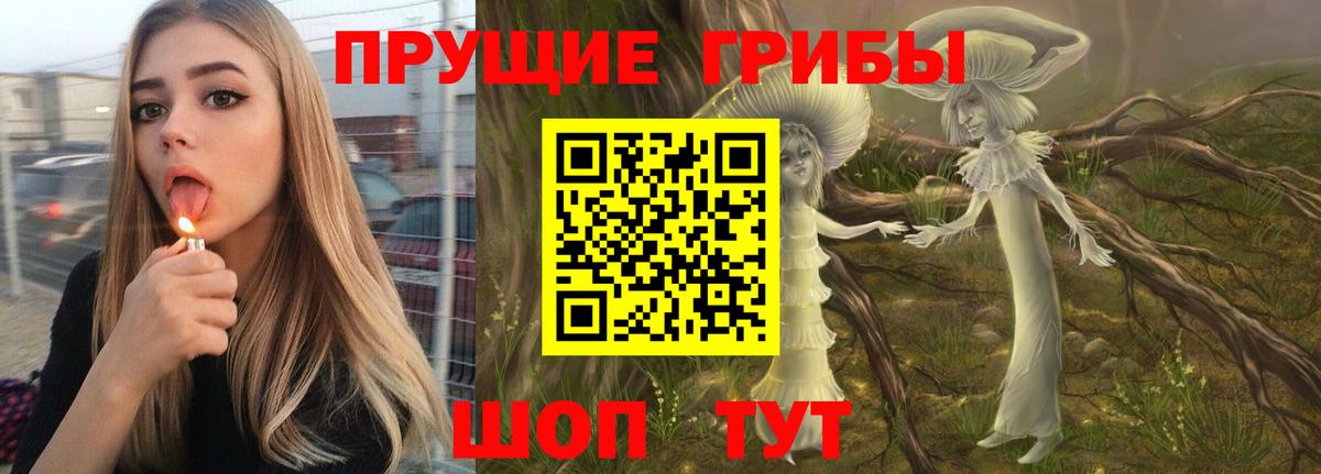 Егорьевск  как найти наркотики  Псилоцибиновые грибы GOLDEN TEACHER  Вход с VPN  Галлюциногенные грибы Psilocybine cubensis 
